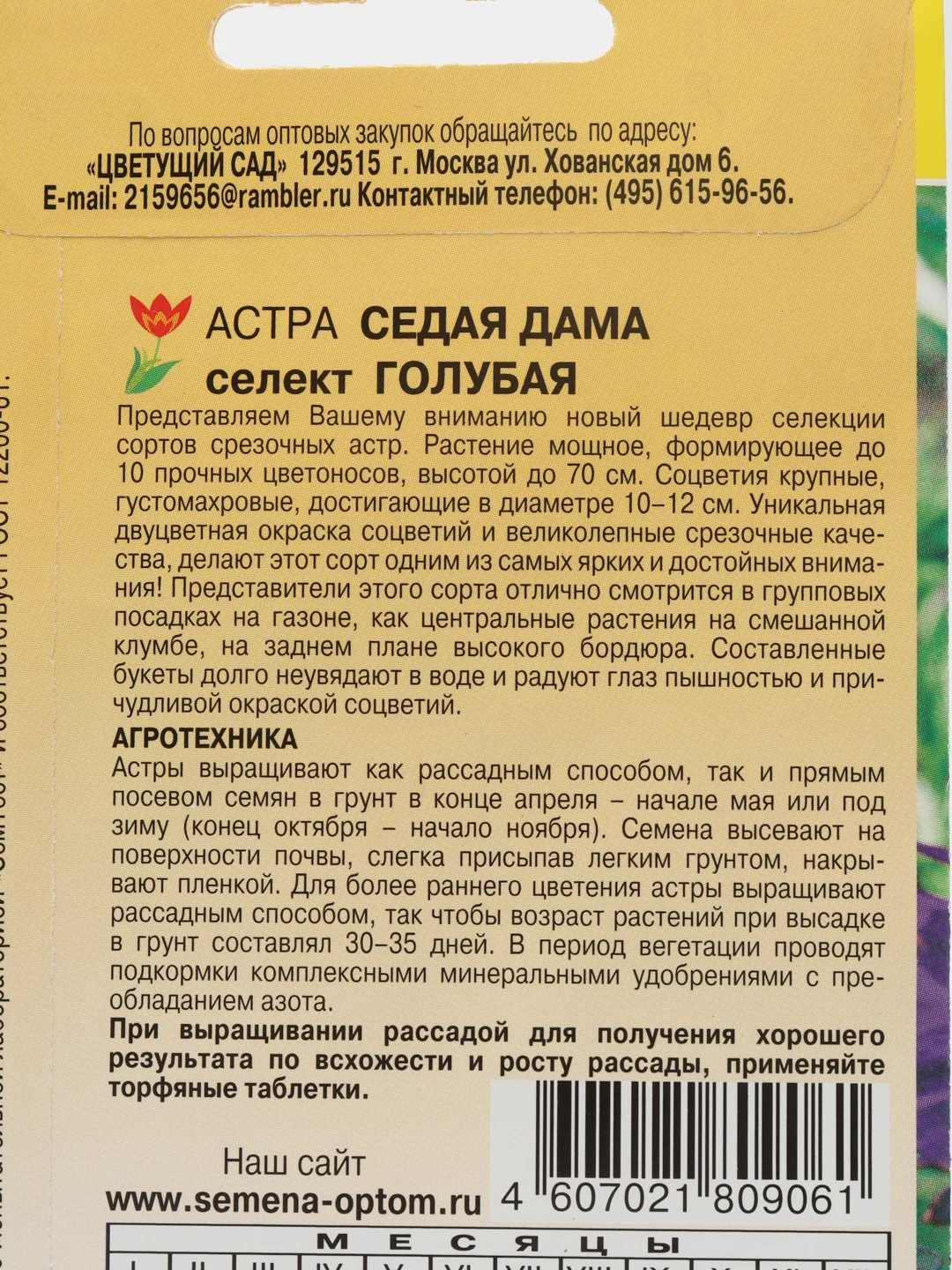 Астра "Седая дама голубая", семена, цветы