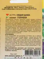 Астра "Седая дама голубая", семена, цветы