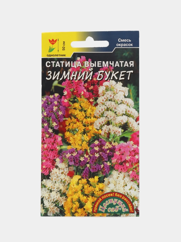 Статица "Зимний букет", семена, цветы