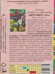 Семена Статица "Цвета радуги"