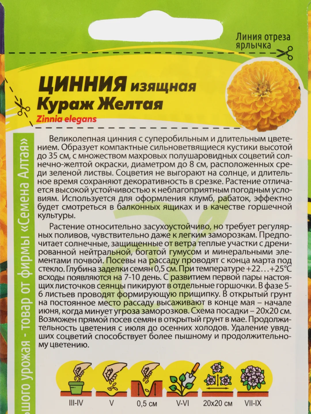 Семена цветов Цинния "Кураж Желтая", карликовая