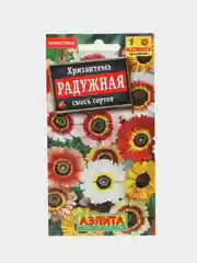 Семена Хризантема "Радужная", смесь сортов неприхотливый однолетник