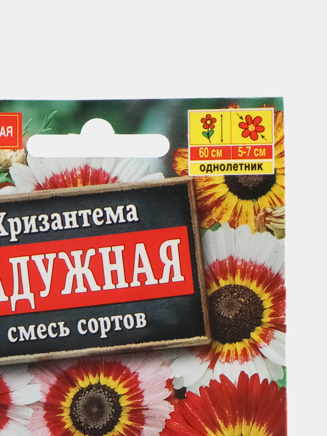 Семена Хризантема "Радужная", смесь сортов неприхотливый однолетник