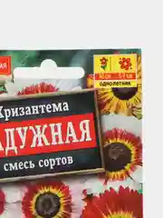 Семена Хризантема "Радужная", смесь сортов неприхотливый однолетник