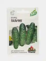 Семена Огурец "Пальчик", раннеспелый пчелоопыляемый сорт (2 и 3 упаковки)