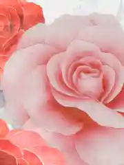 Аметистовый пакет подарочный с пластиковой ручкой, 38 х 38 см/Пакет плотный/Пакет на каждый день