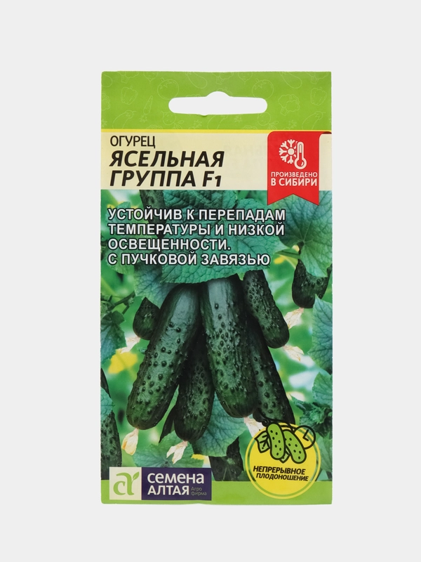 Семена Огурец "Ясельная Группа F1"