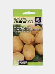 Семена Картофель "Пикассо"