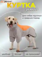 Оранжевый куртка водонепроницаемая для собак средних, крупных, больших пород, комбинезон, жилет