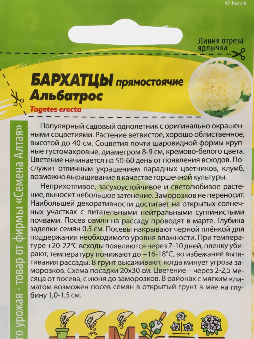 Семена Бархатцы "Альбатрос" Семена Алтая, 0,1 грамм