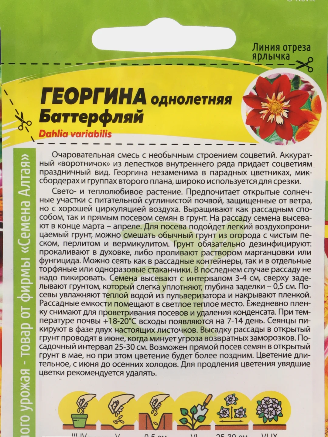 Семена Георгина "Баттерфляй" Семена Алтая, 0,2 грамма