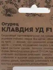 Семена Огурец "Клавдия F1", 8 штук