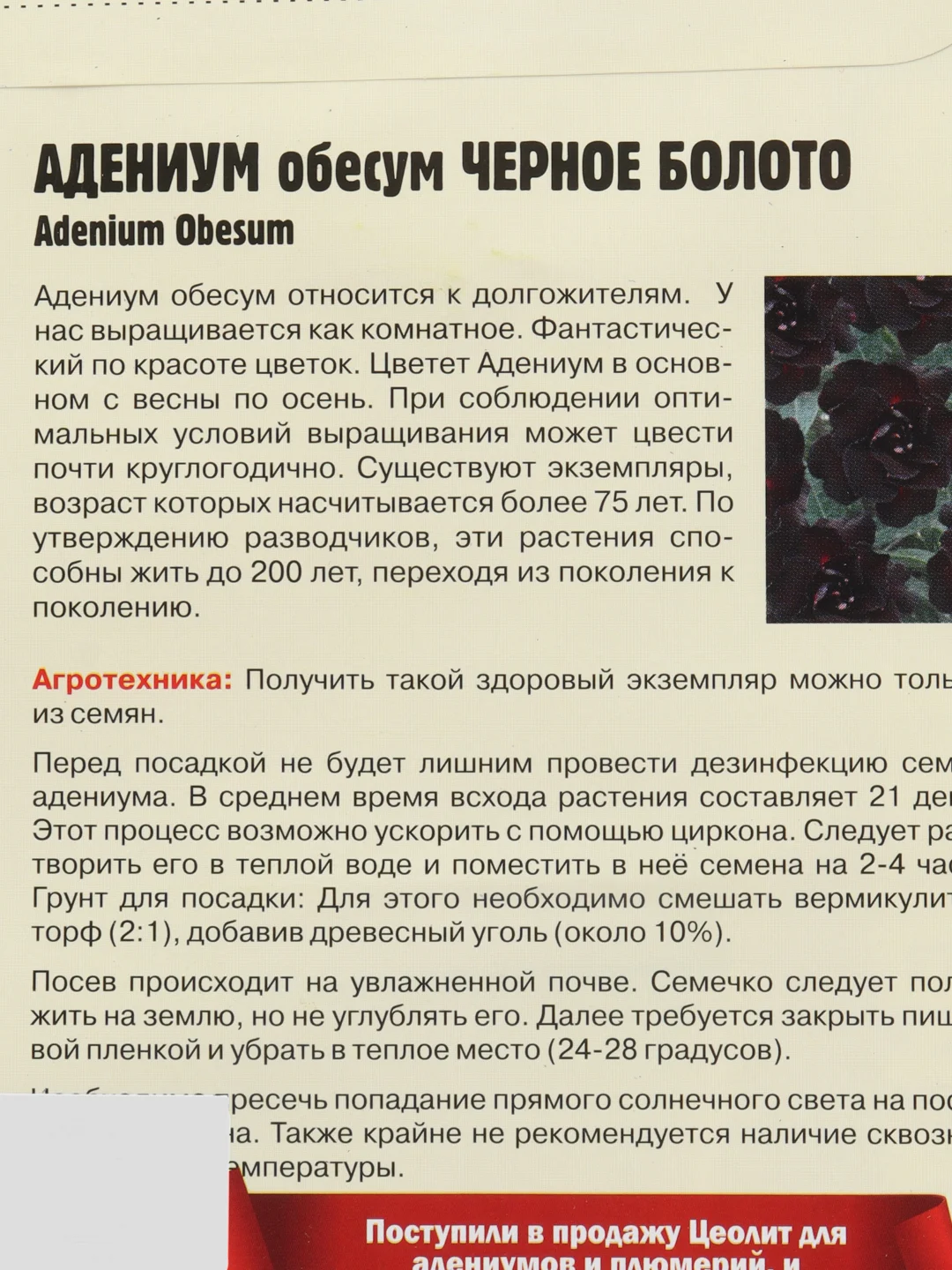 Семена цветов Адениум "Черное болото"
