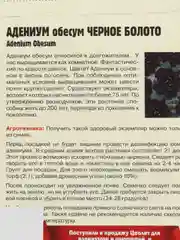 Семена цветов Адениум "Черное болото"