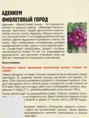 Семена цветов Адениум "Фиолетовый город"