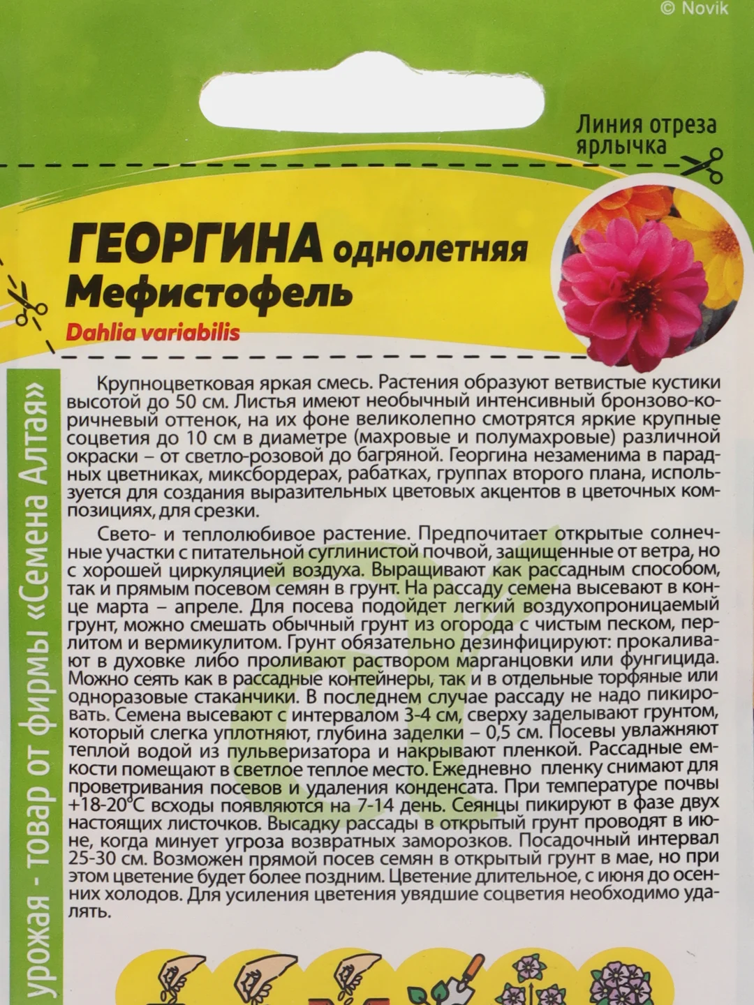 Семена Георгина "Мефистофель" Семена Алтая, 0,2 грамма