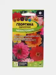 Семена Георгина "Мефистофель" Семена Алтая, 0,2 грамма