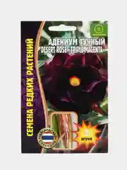 Семена цветов Адениум Triple magneta