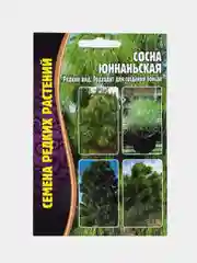 Семена сосны "Юннаньская"