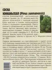 Семена сосны "Юннаньская"