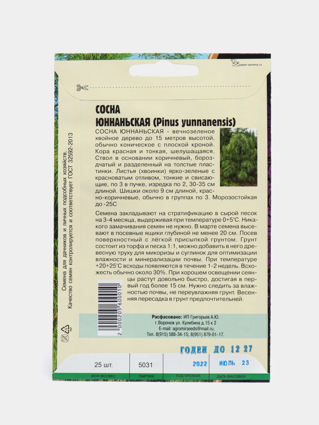 Семена сосны "Юннаньская"