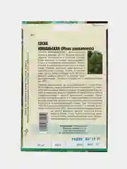 Семена сосны "Юннаньская"