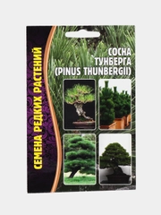Семена Сосна "Тунберга"