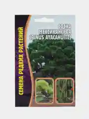 Семена Сосна "Мексиканская"