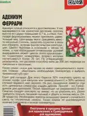 Семена цветов Адениум "Феррари"