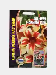 Семена цветов Адениум "Монинг стар"