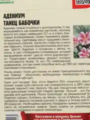Семена цветов Адениум "Танец бабочки"