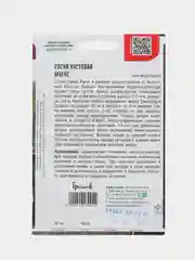 Семена сосны "Мугус"