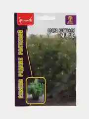Семена сосны "Мугус"