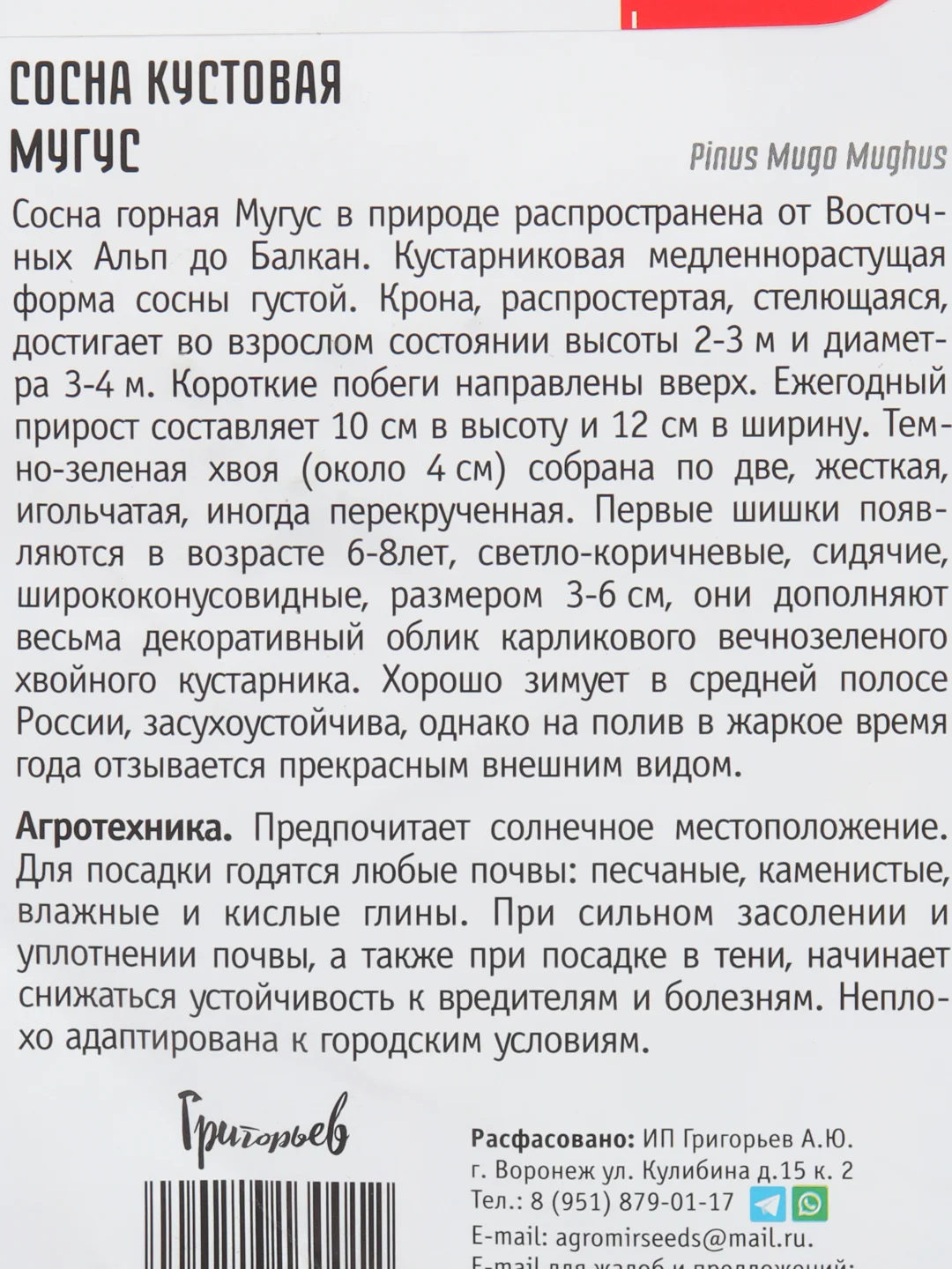 Семена сосны "Мугус"