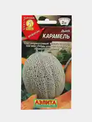 Дыня Аэлита "Карамель", 1 г, семена