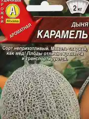 Дыня Аэлита "Карамель", 1 г, семена