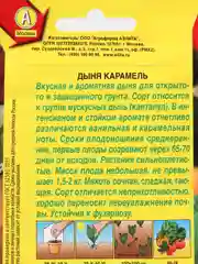 Дыня Аэлита "Карамель", 1 г, семена