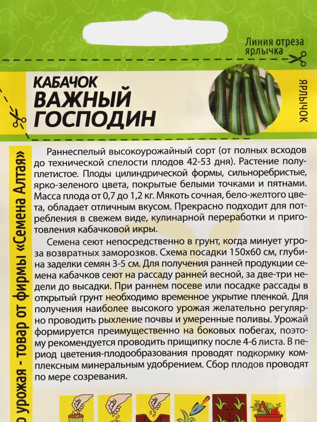 Семена Кабачок "Важный Господин", Семена Алтая, 2 грамма