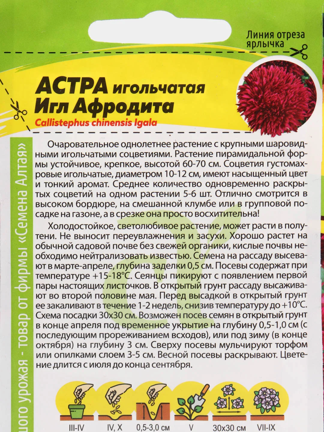 Семена Астра "Афродита игл" Семена Алтая, 0,2 грамм