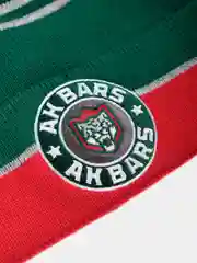 Шапка AK BARS HRU125-A