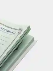 Дневничок "Кот и пес"