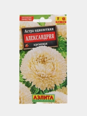 Астра "Александрия", кремовая, семена