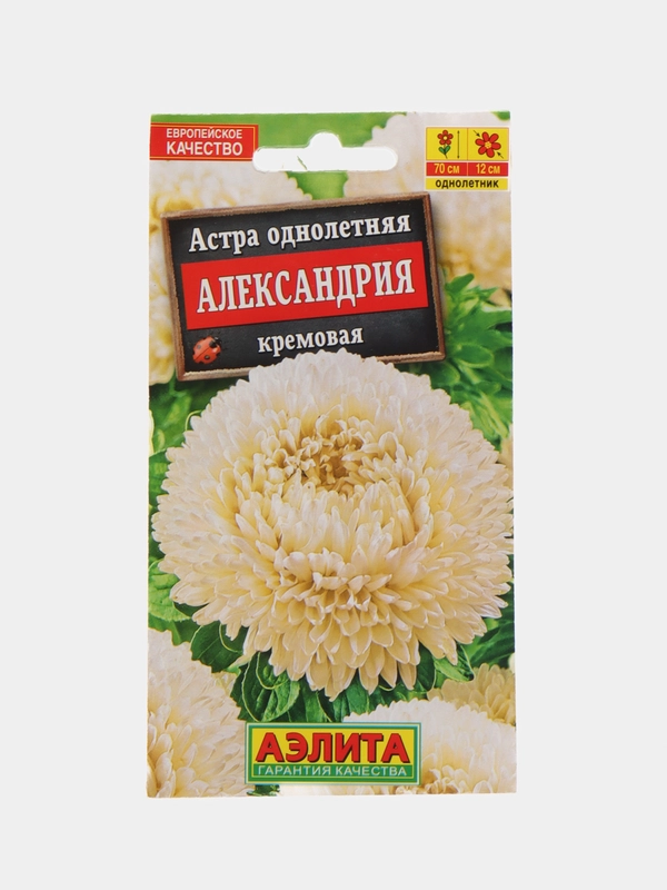 Астра "Александрия", кремовая, семена