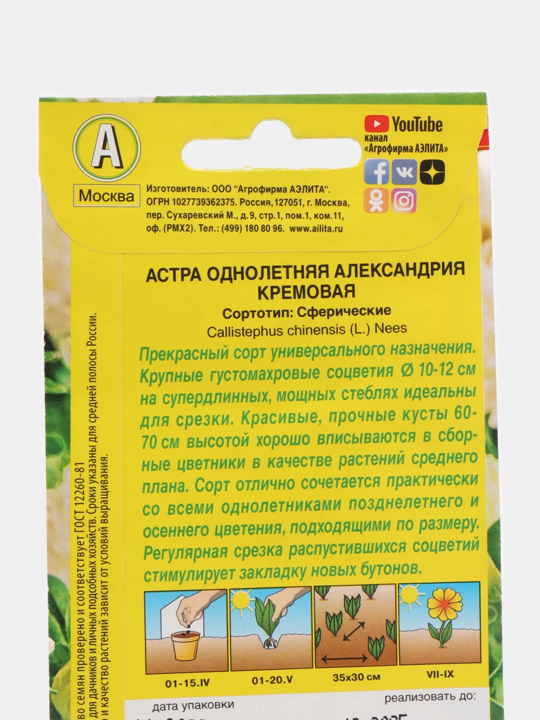 Астра "Александрия", кремовая, семена