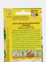 Астра "Александрия", кремовая, семена