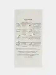 Пастельно-коралловый временные татуировки Flash Tattoo