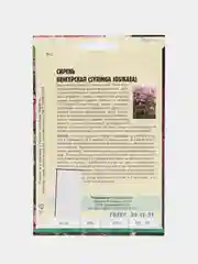 Сирень "Венгерская", семена
