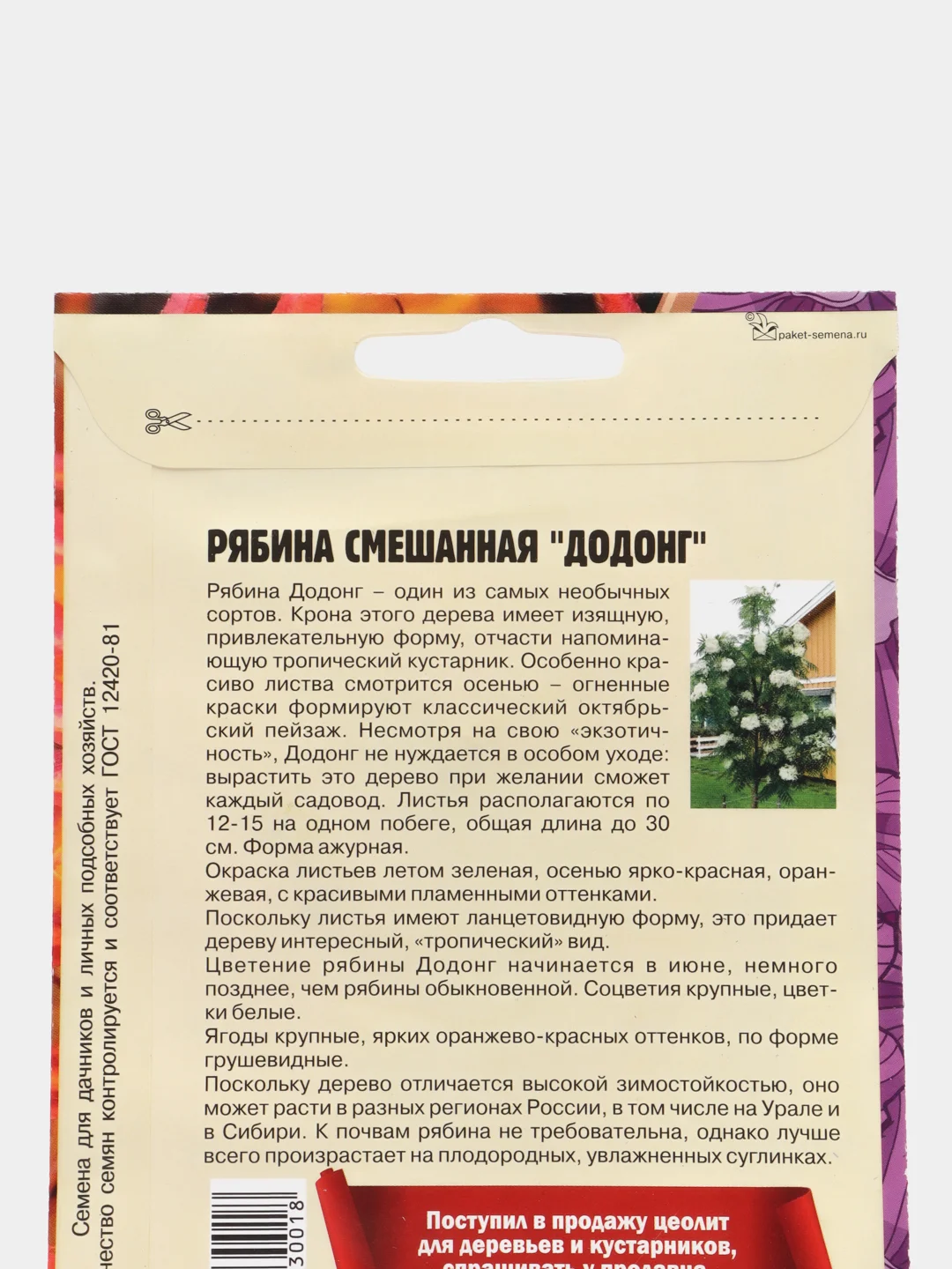 Семена Рябины "Смешанная. Додонг"
