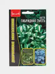 Хоста "Гибридная смесь", семена, цветы