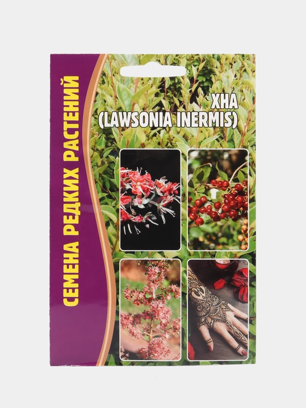 Семена Хна Lawsonia inermis